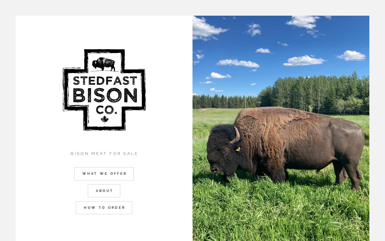 Stedfast Bison Co.